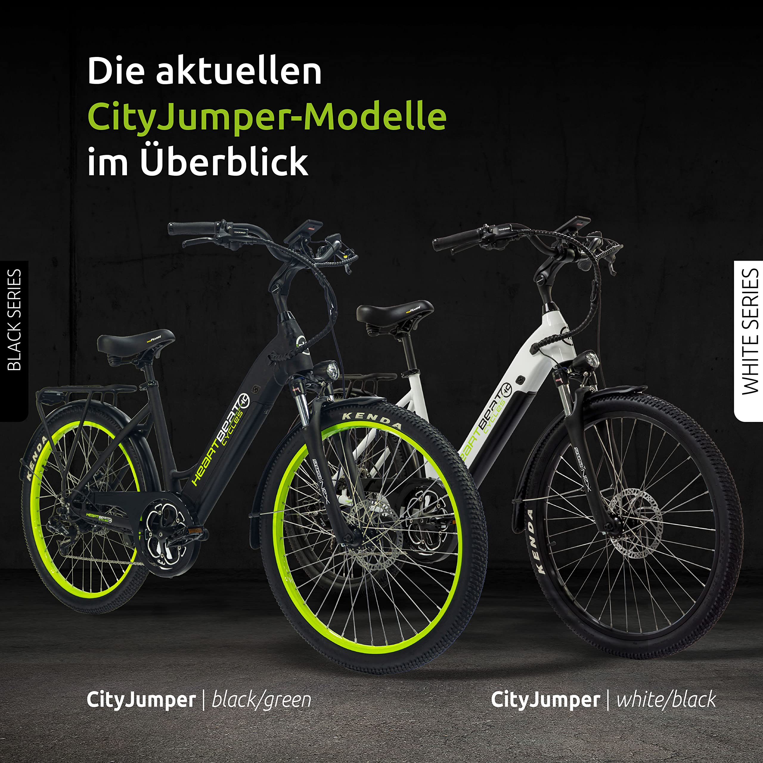 Vélo Electrique Femme 26 Pouces, Electric Bike 8 Vitesses, Moteur Puissant 48V 250W 45Nm, Fourche à Suspension Hydraulique, Autonomie 100 km 25 km/h