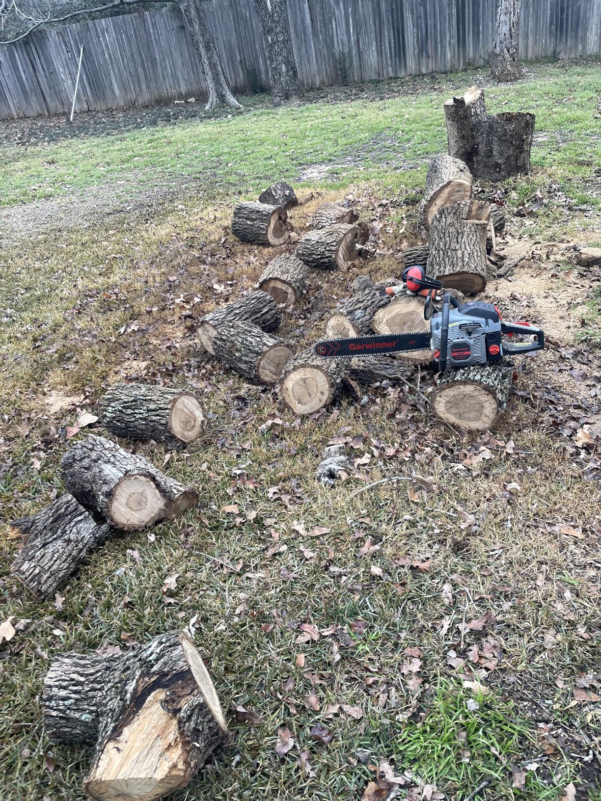 33/mo Finance Gas Chainsaw 20 Inch 62CC Chainsaws Gas Powered 3.4HP