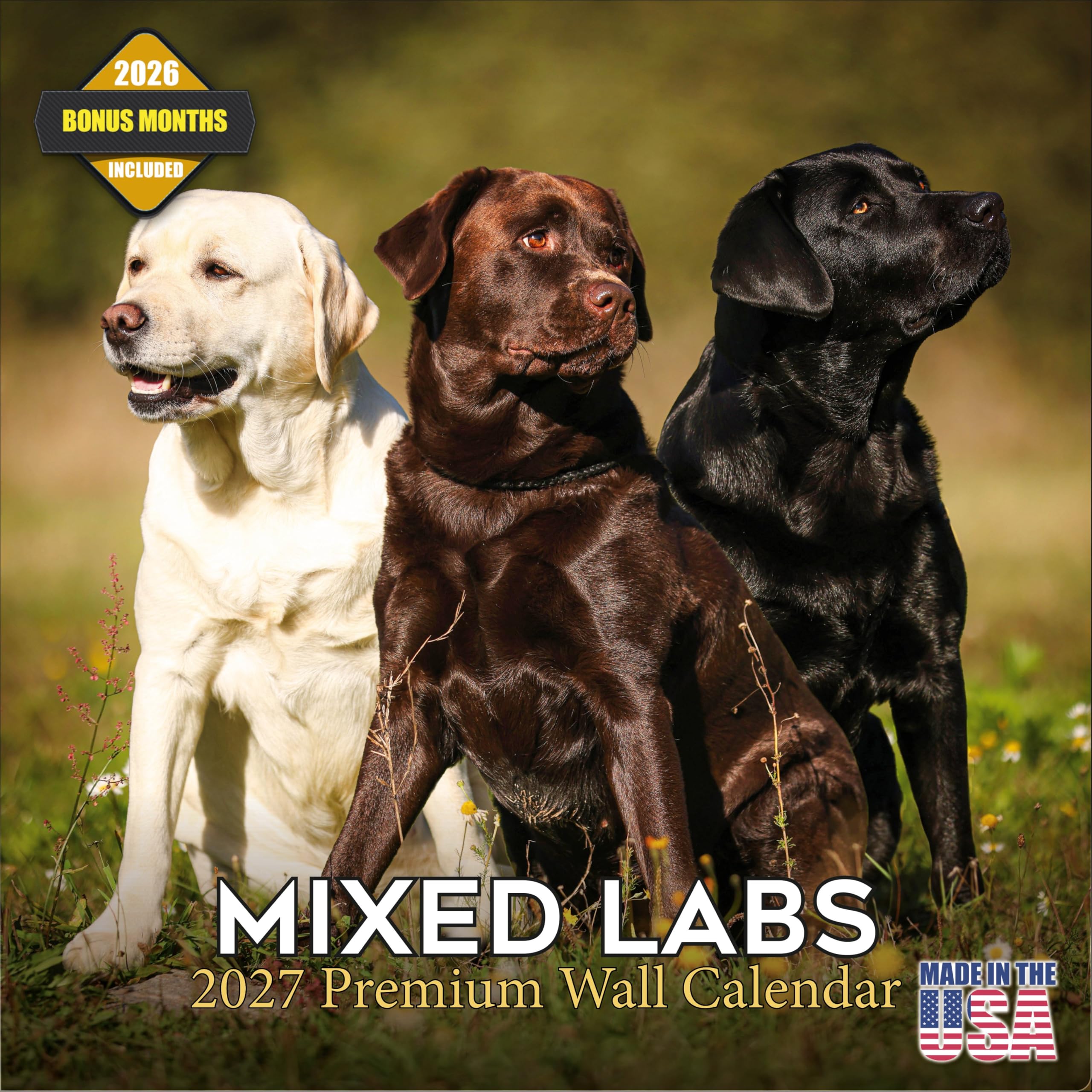 Labrador Retriever Calendar 2027 16 Month Wall Calendar 2026 2027 — image 1