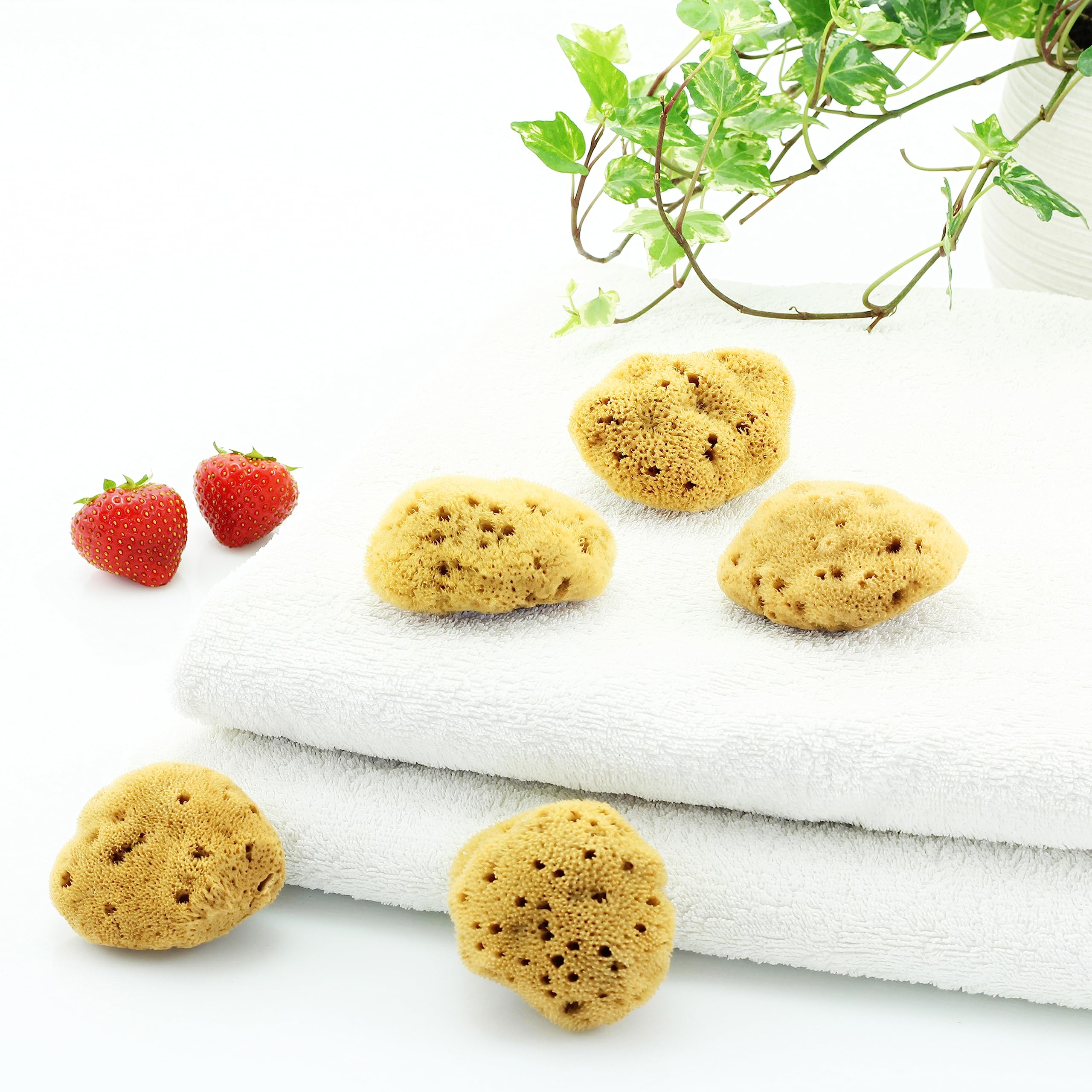tom&pat® Éponge menstruelle en éponge naturelle • alternative aux tampons • lavable et réutilisable • Dermatest excellent • boîte de voyage • qualité premium Grèce (Taille S, 5 x 3-5 cm)