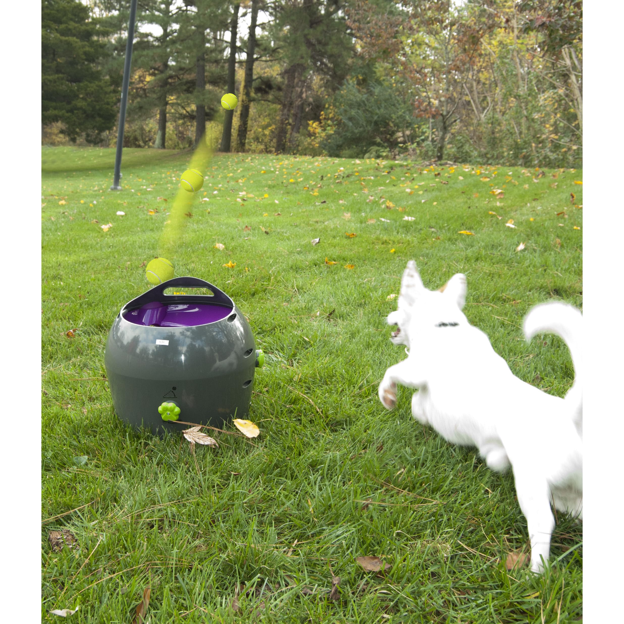 PetSafe Lanzador de Pelotas Automático | Juego de Cobro Interactivo, Distancia Ajustable, Pelotas de Tenis Incluidas