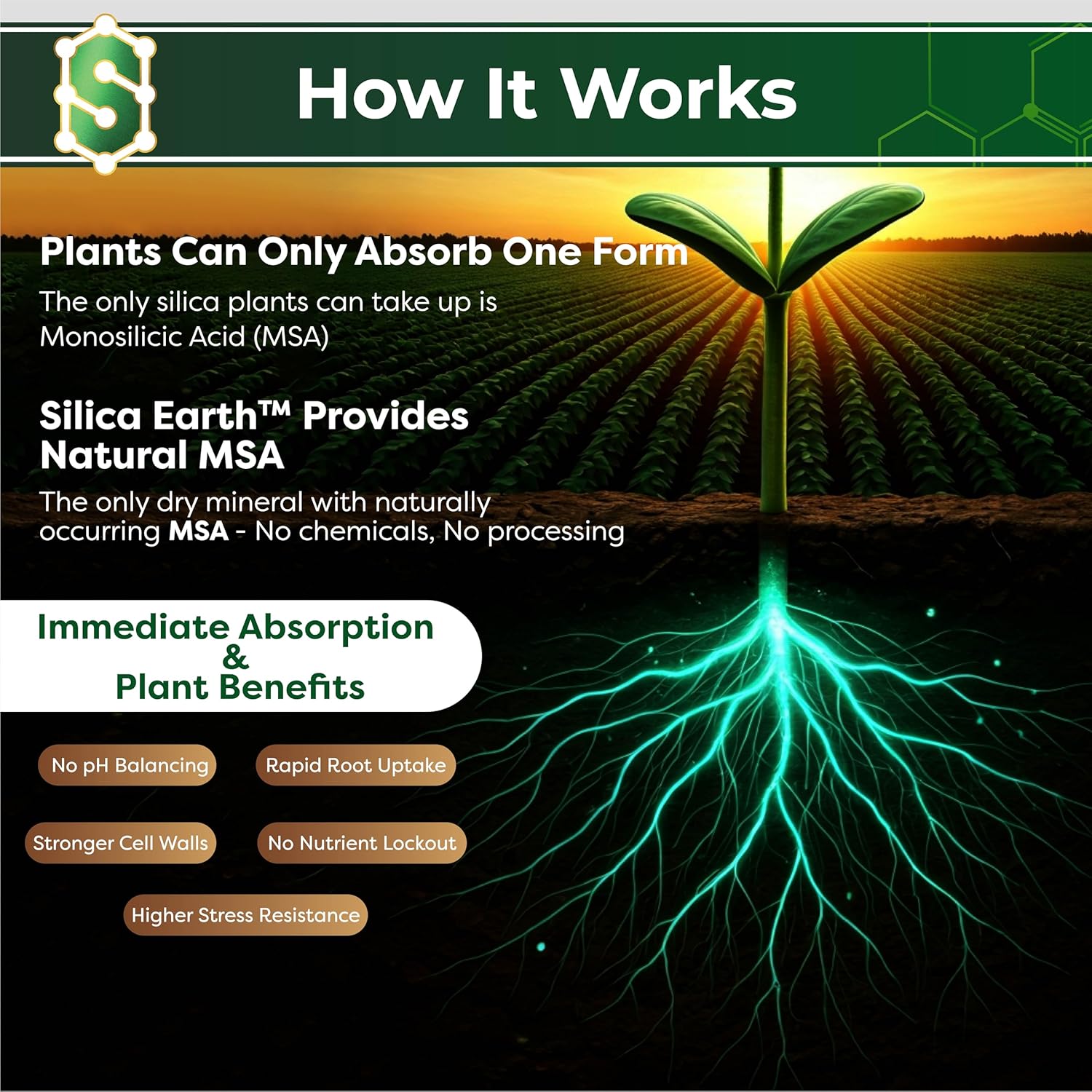 Volcanic Silica Minerals Micronized 1 lb