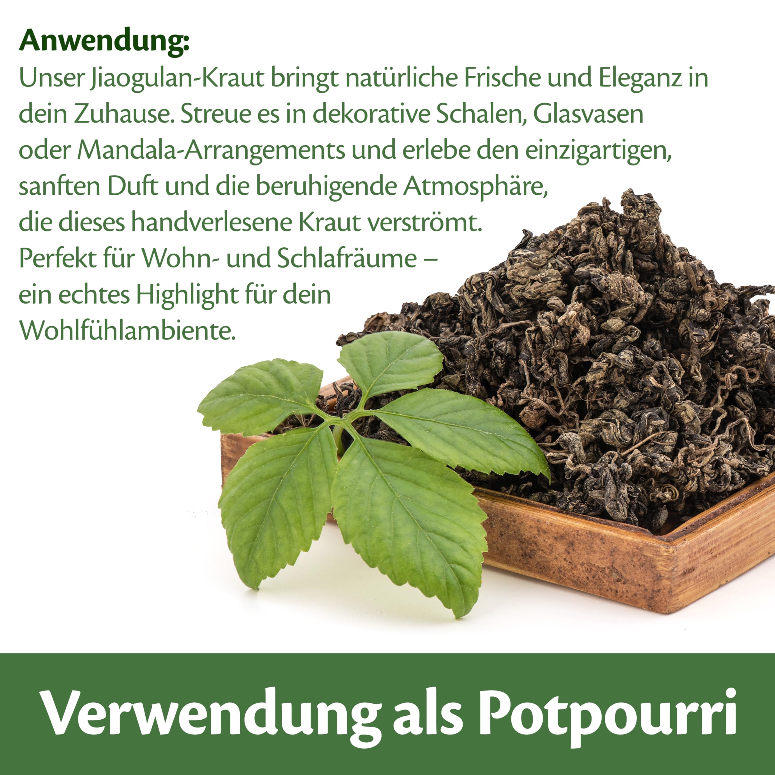 Jiaogulan Kraut der Unsterblichkeit (150g) • Ohne Stängel • handverlesenes Unsterblichkeits-Kraut getrocknet in höchster Qualität