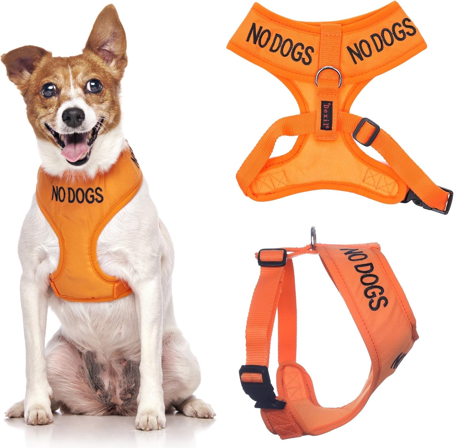 NO DOGS (Not good with other dogs) Orange Colour Coded Non-Pull Front and Back D Ring Padded and Waterproof Vest Dog Harness PREVENTS Accidents By Warning Others Of Your Dog In Advance (M)