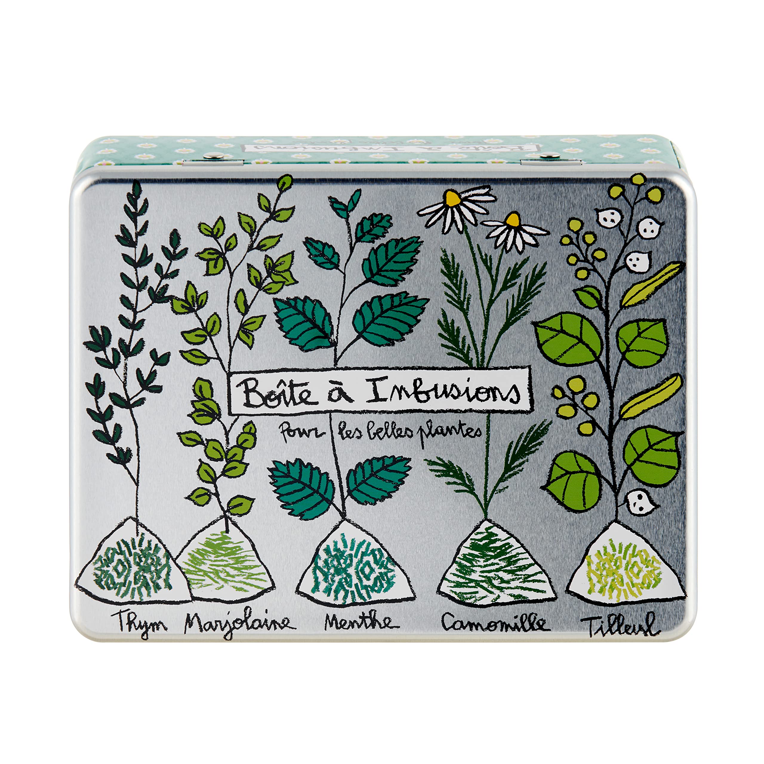 DLP Scatola per Tisane (con scomparto) - Infusi per Belle Piante