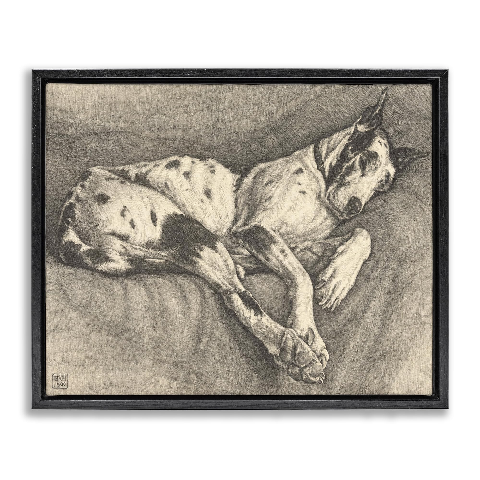 Sleeping Hound Drawing Classic, 16 x 20 Inch Canvas in Floater Frame