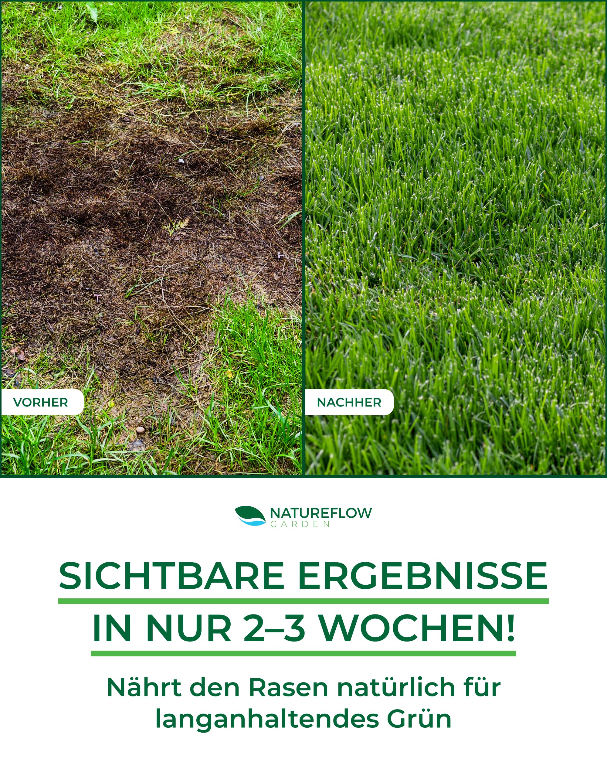 Bio Rasendünger Frühjahr & Sommer TESTSIEGER Made in Germany – 2,5kg für 100qm - Organischer Rasendünger Bio für gesunden Boden & sattgrünen Rasen - Dünger Rasen, Frühjahrsdünger
