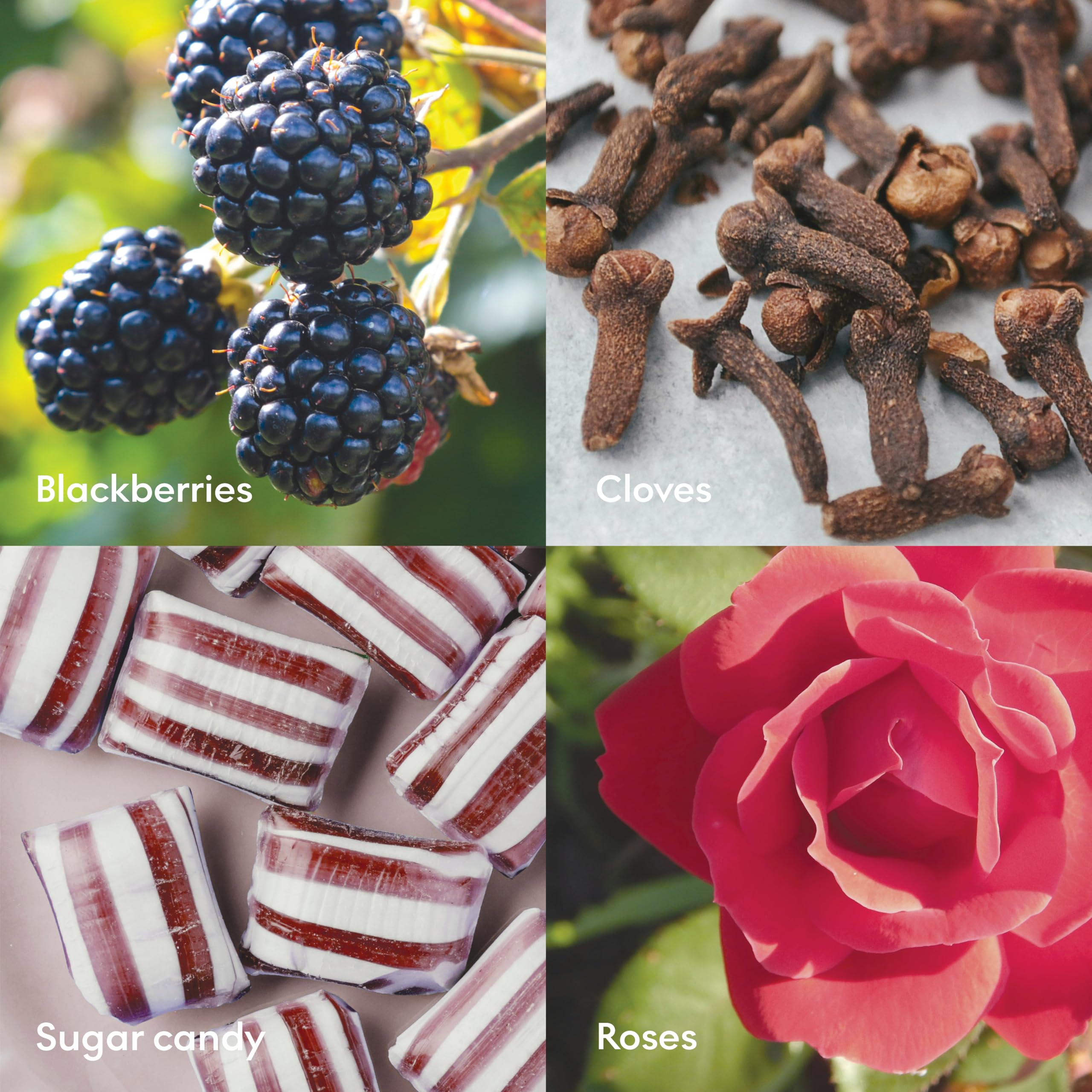 Skandinavisk KYSS - Vela aromática con aroma a mora y rosa, caramelo y clavo. 200 g.