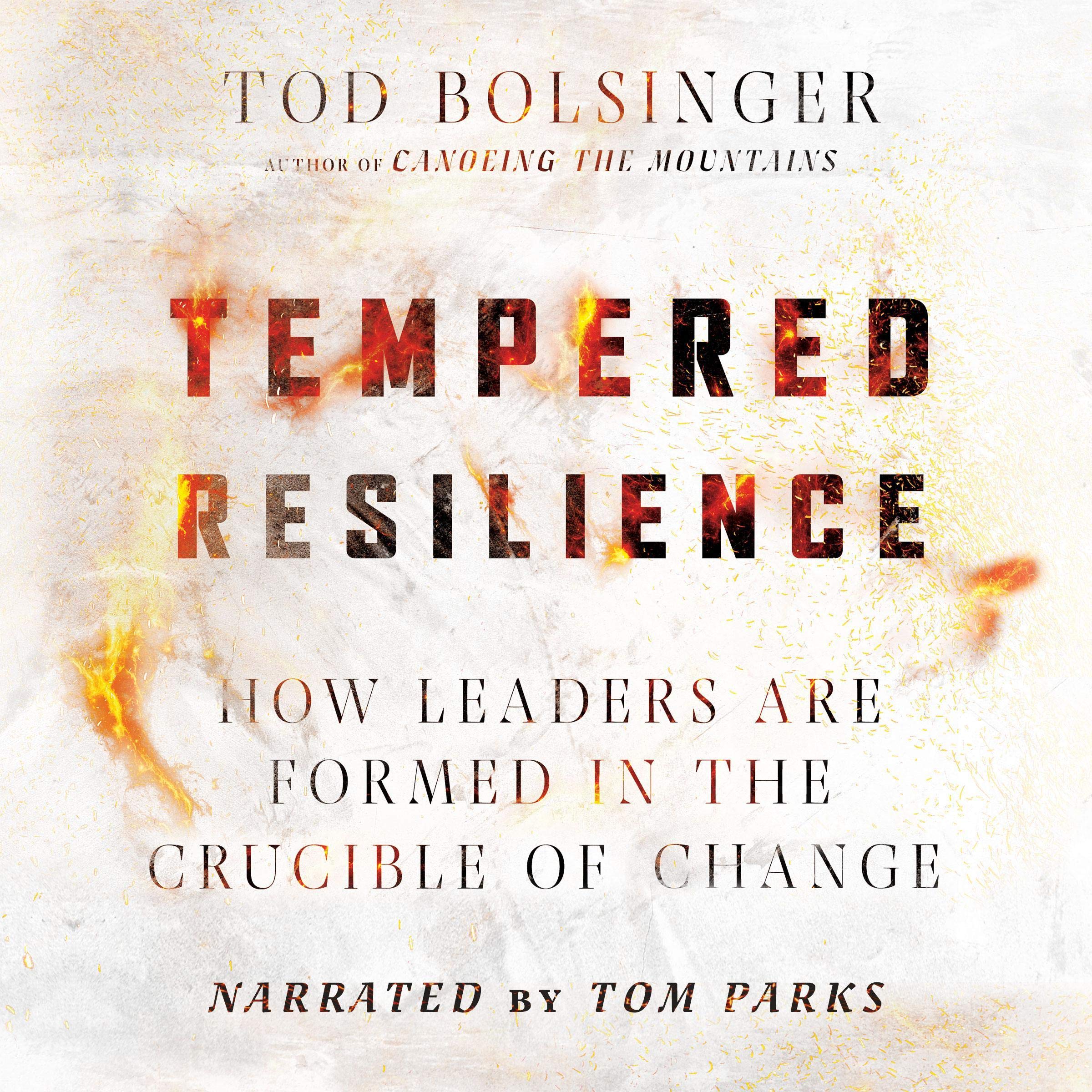 Cover art for Tempered Resilience