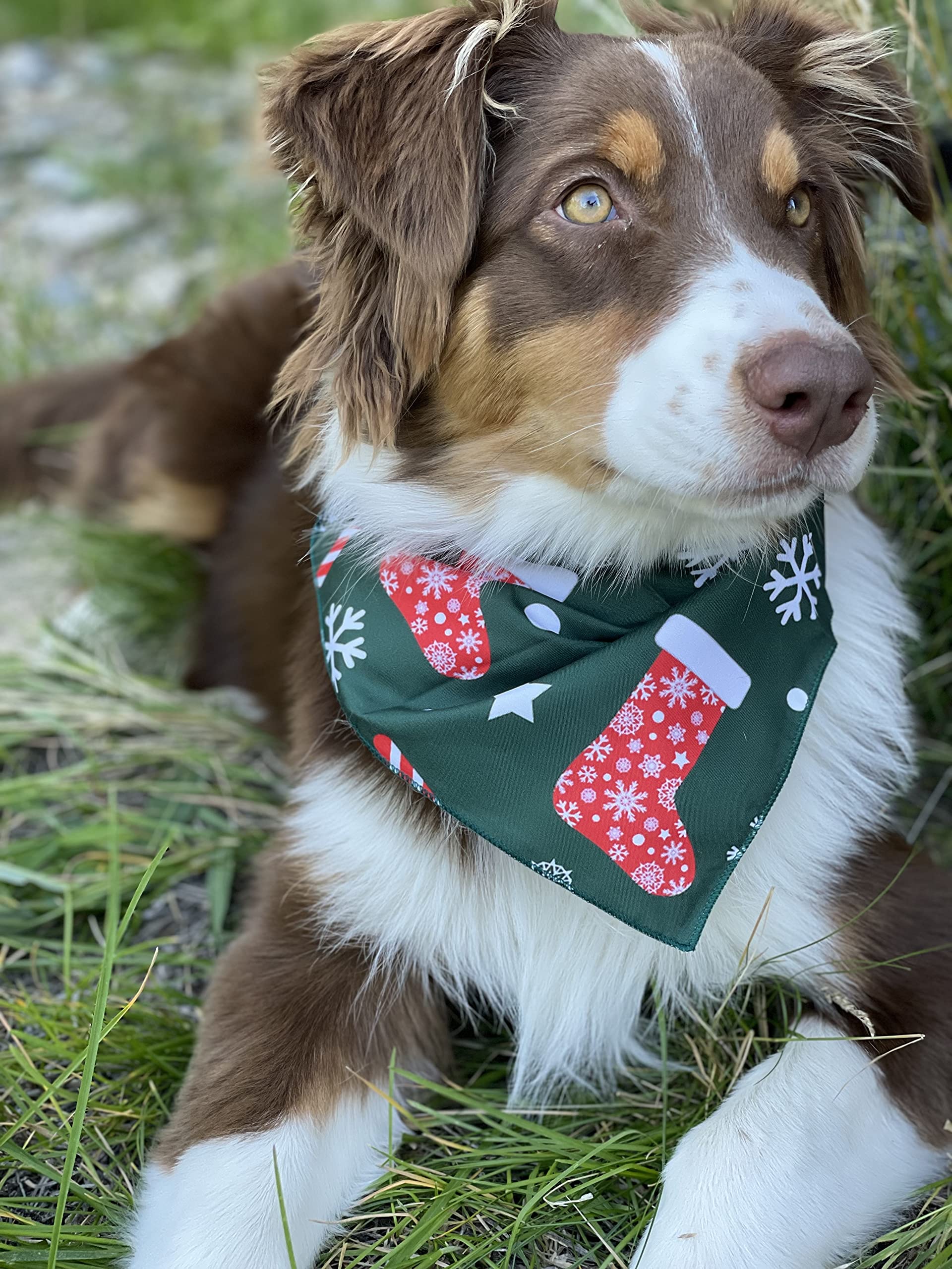 Bandana de Navidad para perro, paquete de 3, pañuelo de invierno (paquete de 2, grande)