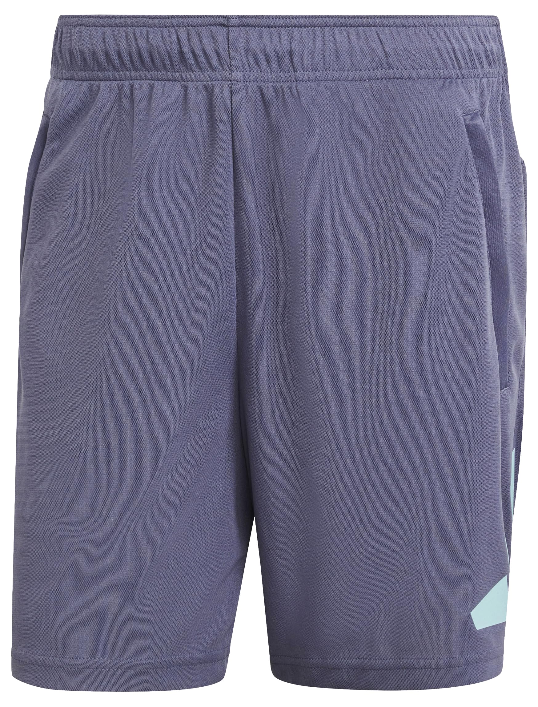 adidas Men's Shorts Train Essentials Logo Training Shorts