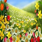 j.springs s11 Spring flower Spring Flowers