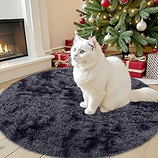 OLANLY Black Round Rugs for Bedroom - Machine Washable, 3 ft Circle Area Rugs for Living Room, Soft and Fluffy Shaggy Carpet for Teen Girls and Boys, Nursery Rooms, Dorms, Home Decor Aesthetic