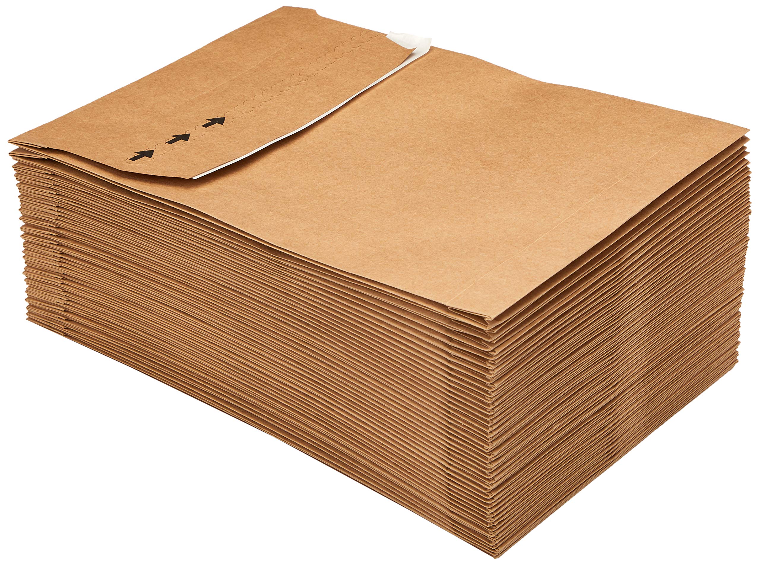 Blake Vita KBB140 Lot de 100 pochettes d'expédition en papier kraft recyclé sans plastique 50 mm 300 x 200 mm