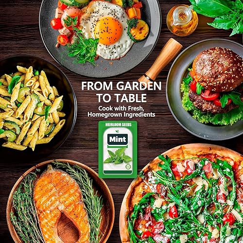 Miniatura 8 de Cápsulas de semillas de menta para todos los sistemas de cultivo hidropónico, kit de hierbas de 12 cápsulas con semillas de menta piperita, cultiva