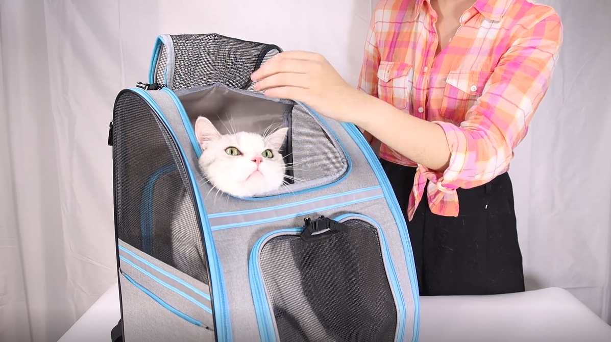 Expandable Pet Carrier Backpack - Soft Sided Cat Back Pack with Breathable Mesh for Small Dogs Cats, Collapsible Pet… - Image 8