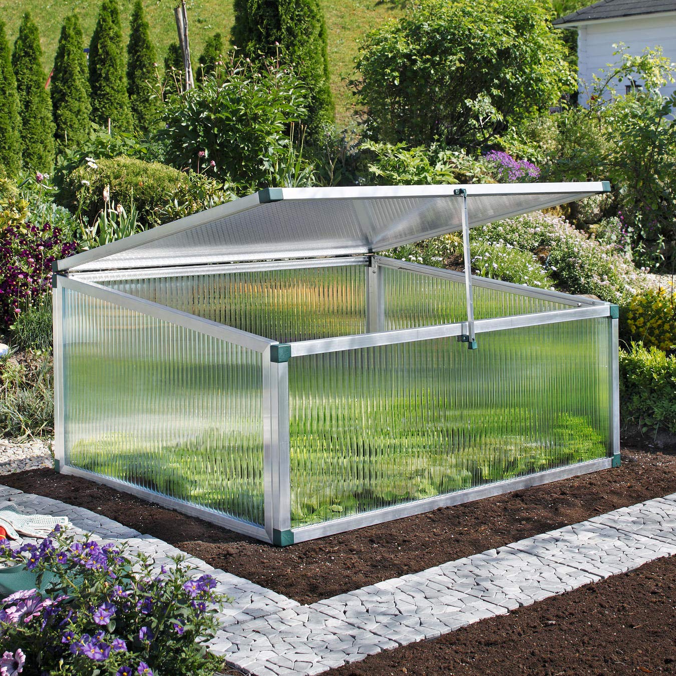 Beckmann FT3 Frühbeet Typ Allgäu Modell 3 Größe 2 – Extrem Stabil: Hagelfeste 16mm Platten – Made in Germany – UV-Schutz—Premium Aluminium Mini-Gewächshaus – 123x107 cm