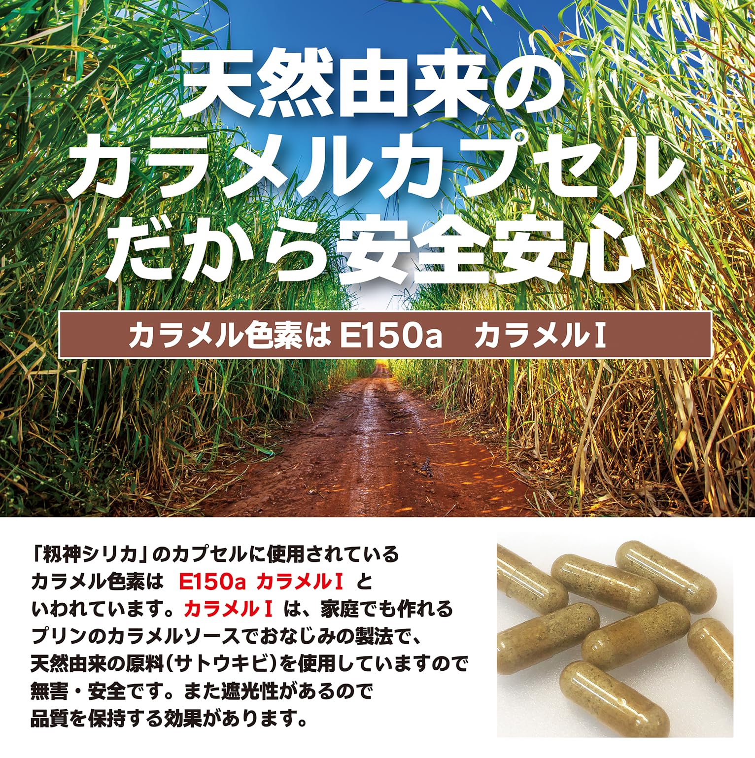 IbeLive 籾神シリカ 高濃度3000mg 国産無農薬