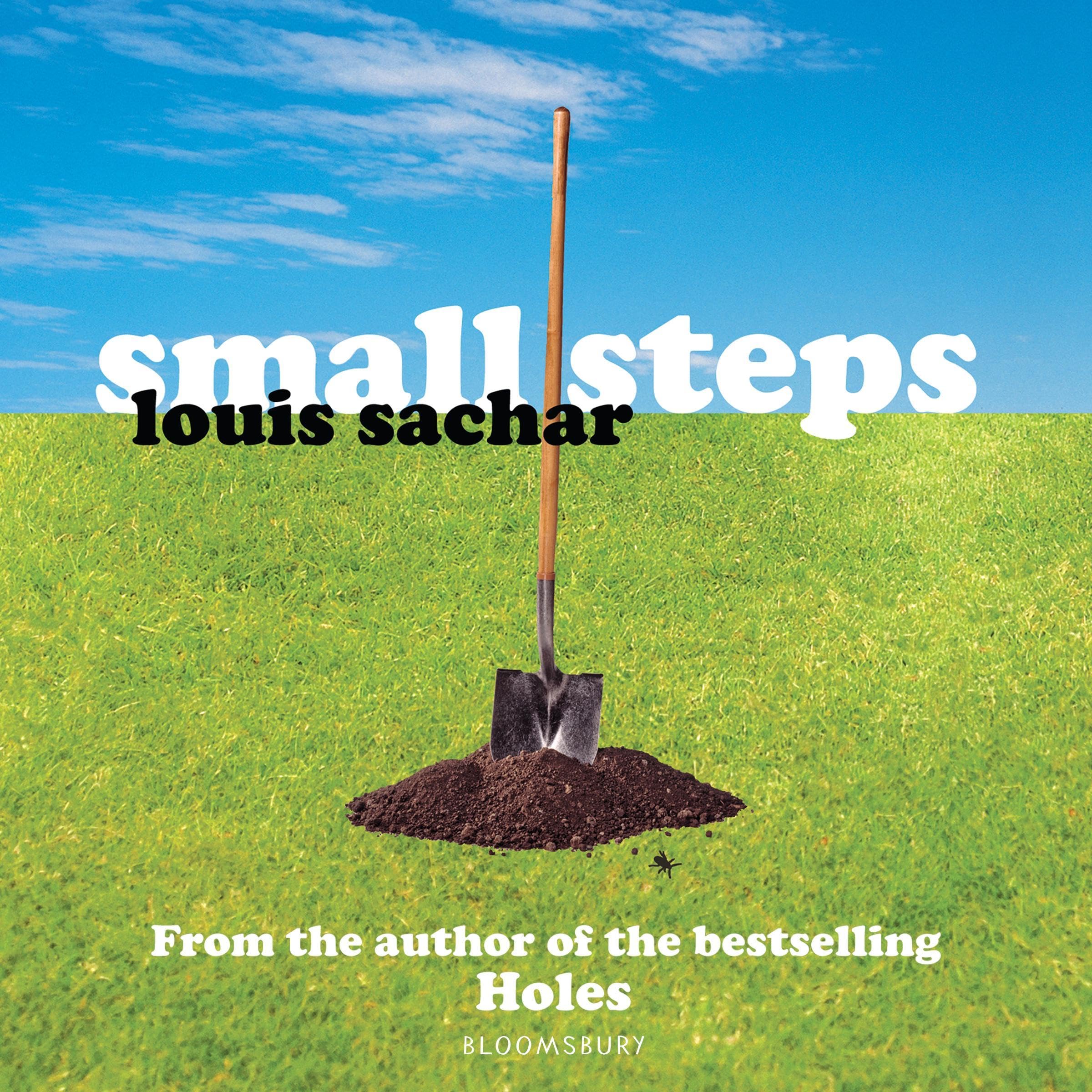 Cover art for Small Steps