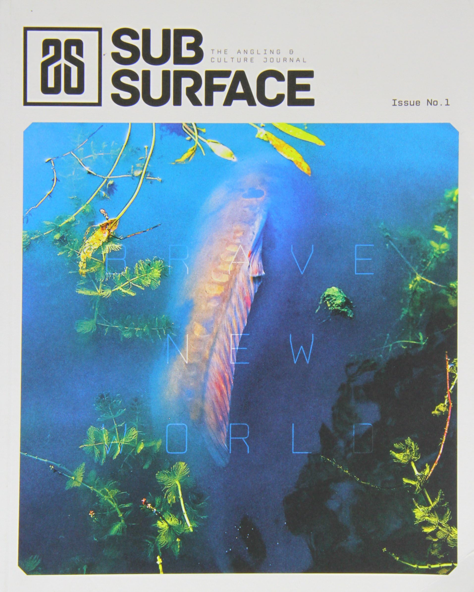 Brave New World (1) (Subsurface) Paperback – 22 Nov. 2013