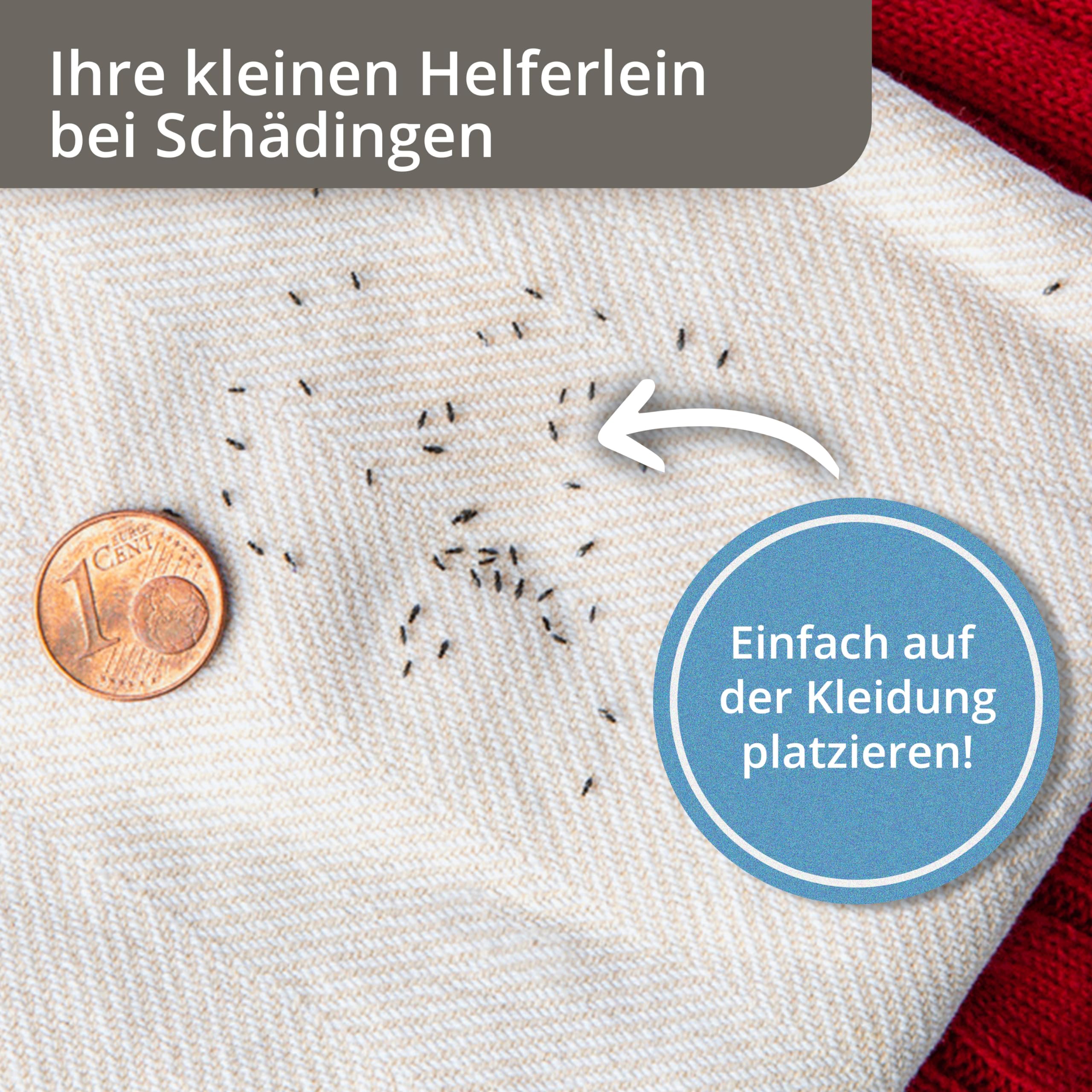 Schlupfwespen gegen Kleidermotten & Lebensmittelmotten | 10x Karten Schlupfwespen gegen Lebensmittelmotten & 30x Schlupfwespen gegen Kleidermotten