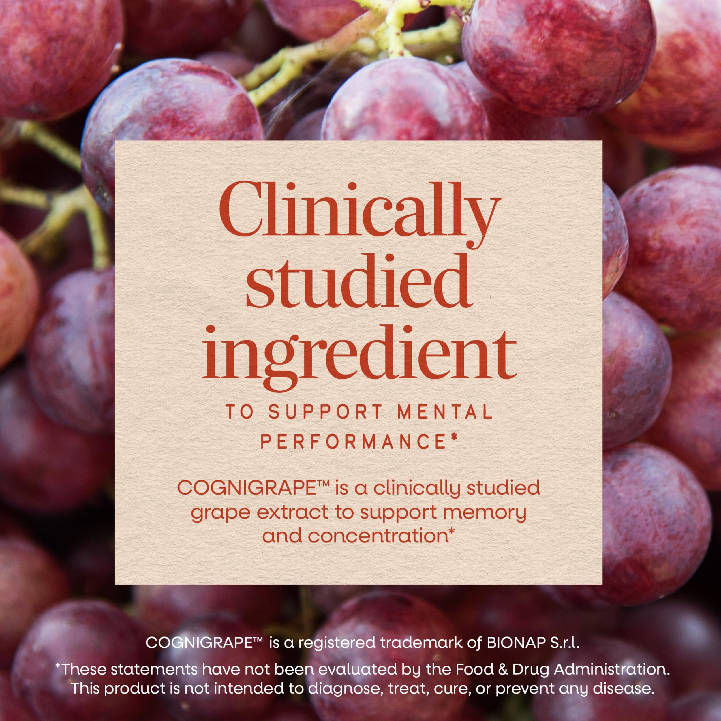 Nature's Way Brain Fuel Gummies, Cognigrape, Focus & Memory Support*, 60 ct — Amazon image 4