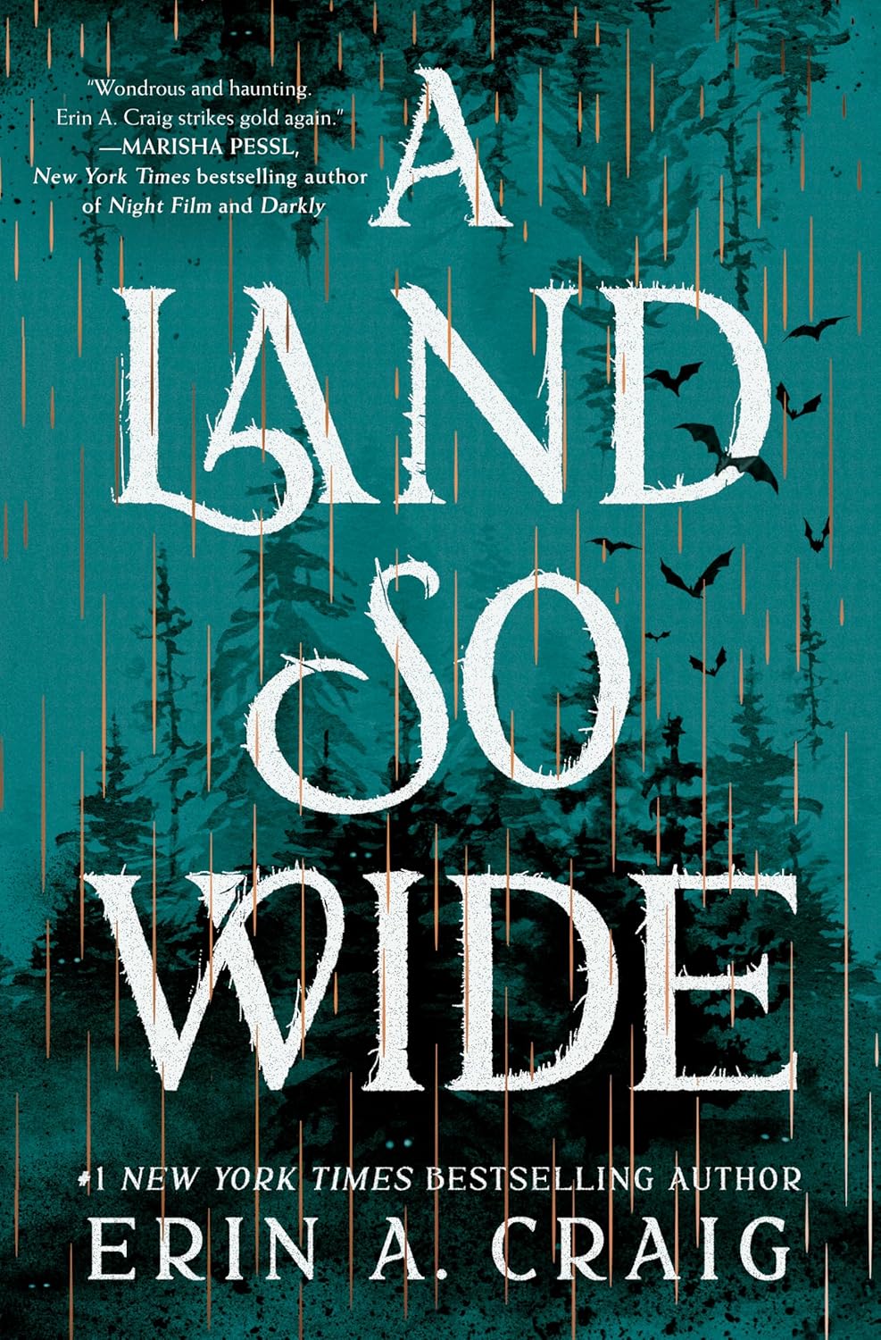 A Land So Wide: A Novel      Kindle Edition