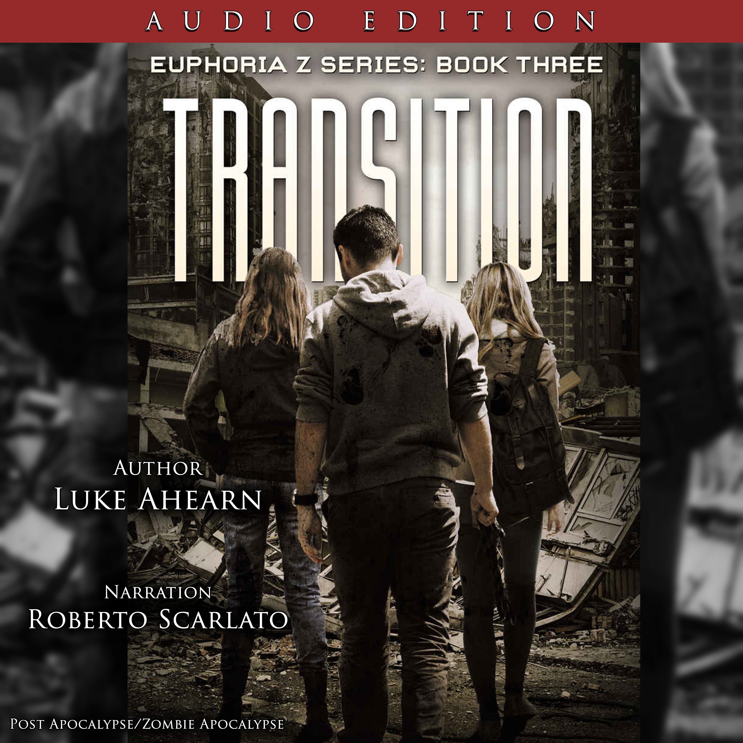 Cover art for Transition: Euphoria Z, Book 3