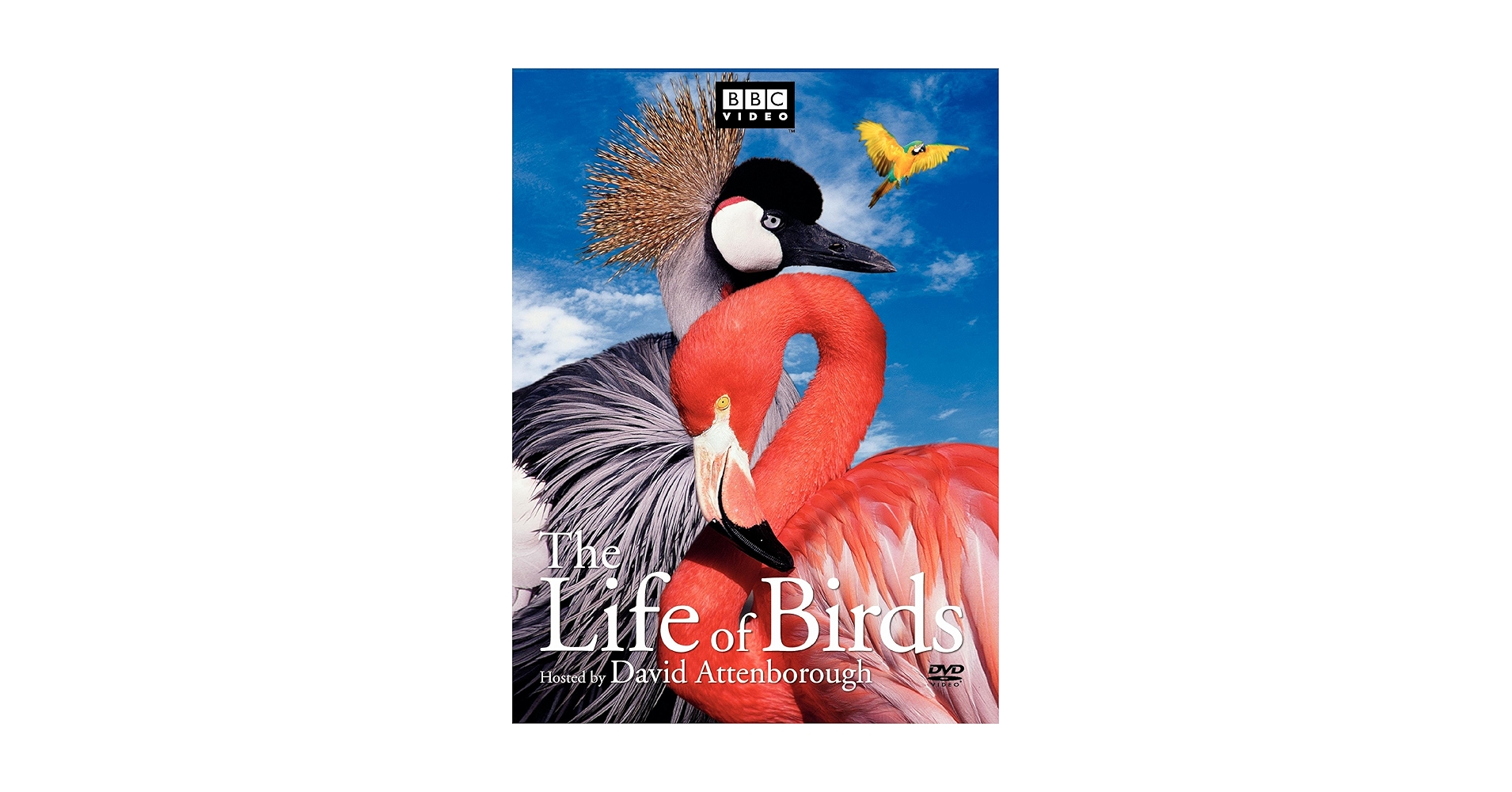 Amazon.com: Life of Birds, The (DVD) : David Attenborough