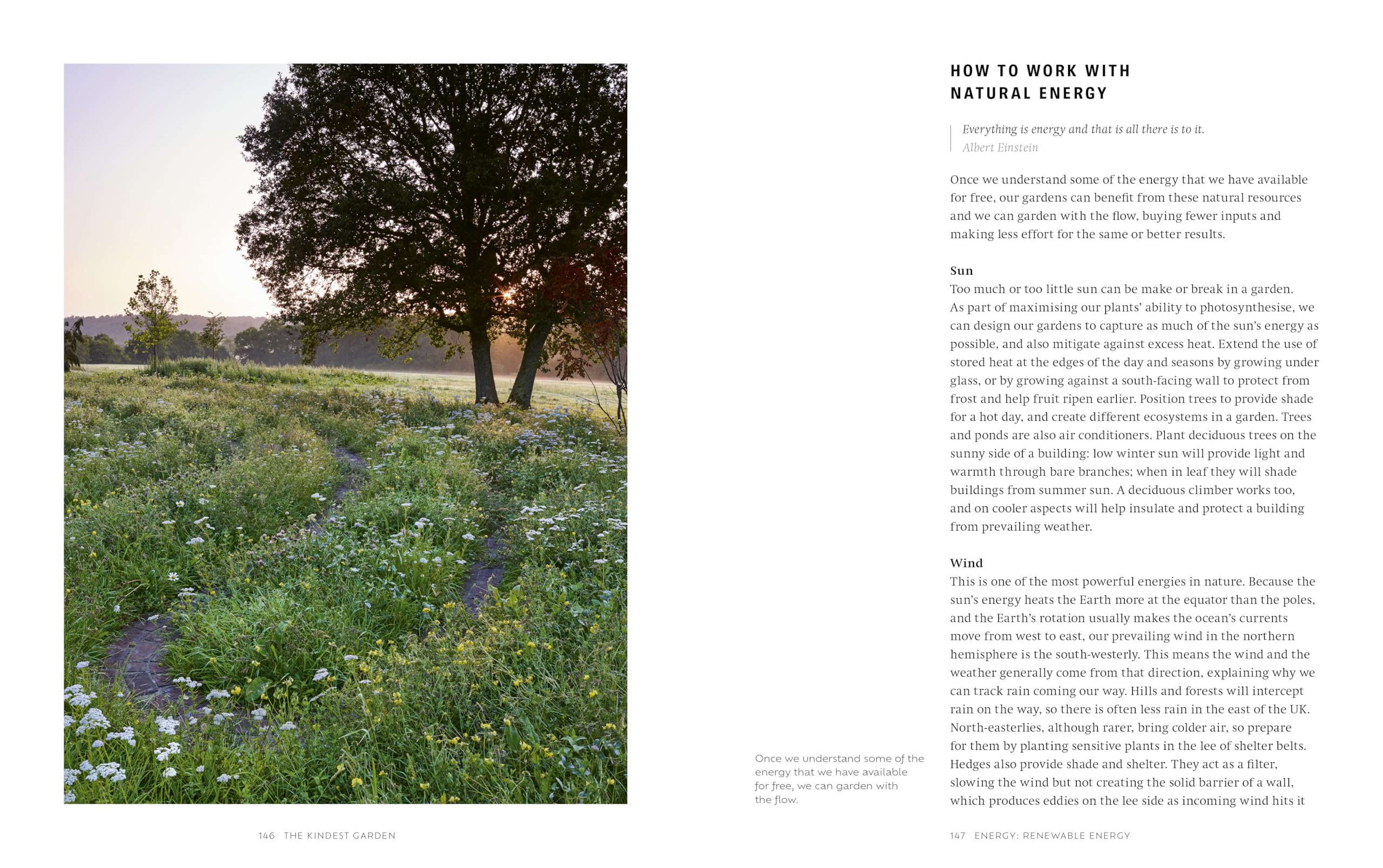 The Kindest Garden: A Practical Guide to Regenerative Gardening