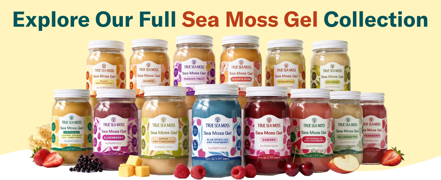 Amazon.com : TrueSeaMoss Sea Moss Gel – Wildcrafted Seamoss
