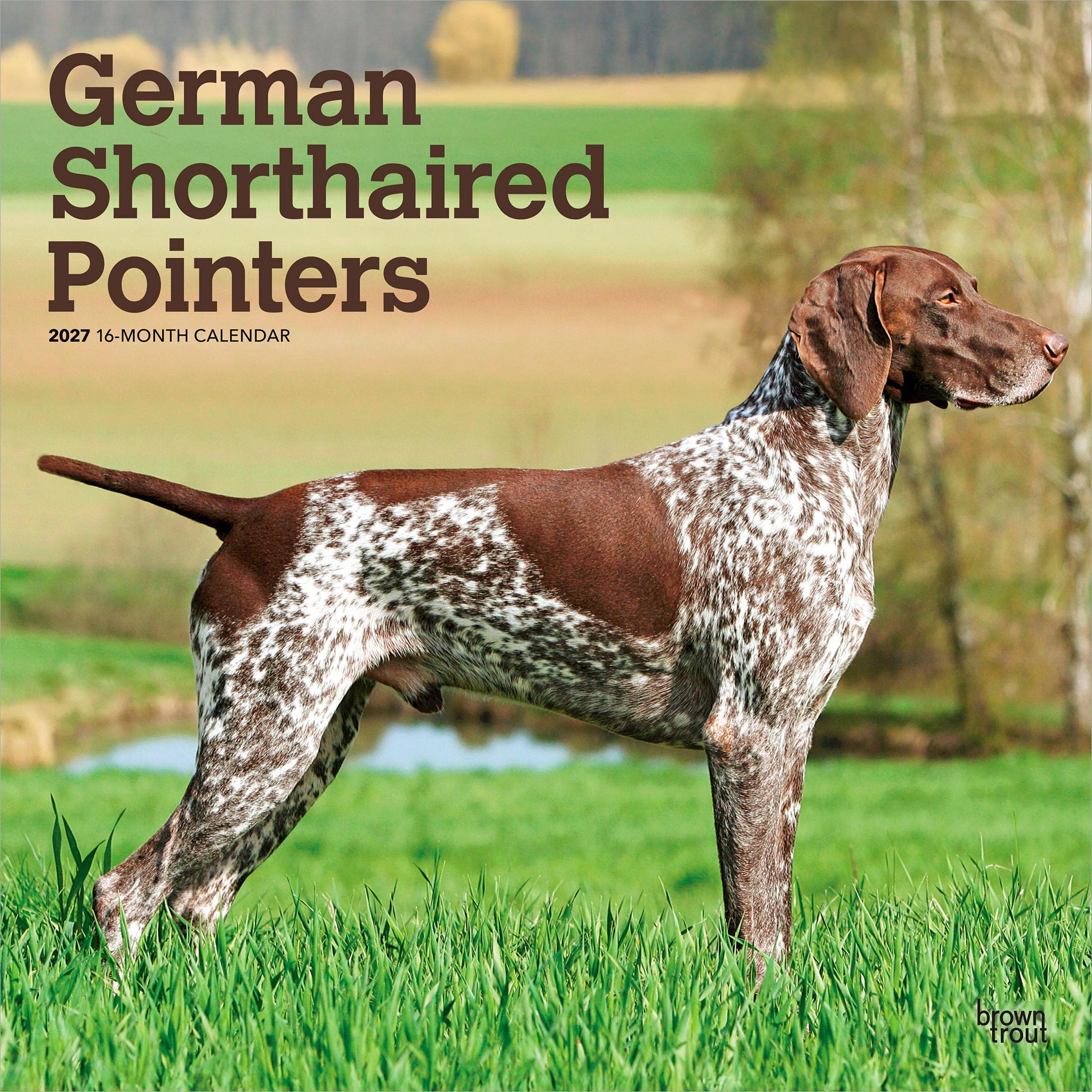 German Shorthaired Pointers 2027 Square Flap: Original BrownTrout-Kalender [Mehrsprachig] [Kalender] (German Shorthaired Pointers | 2027 12 x 24 Inch ... | BrownTrout | Animals Dog Breeds)
