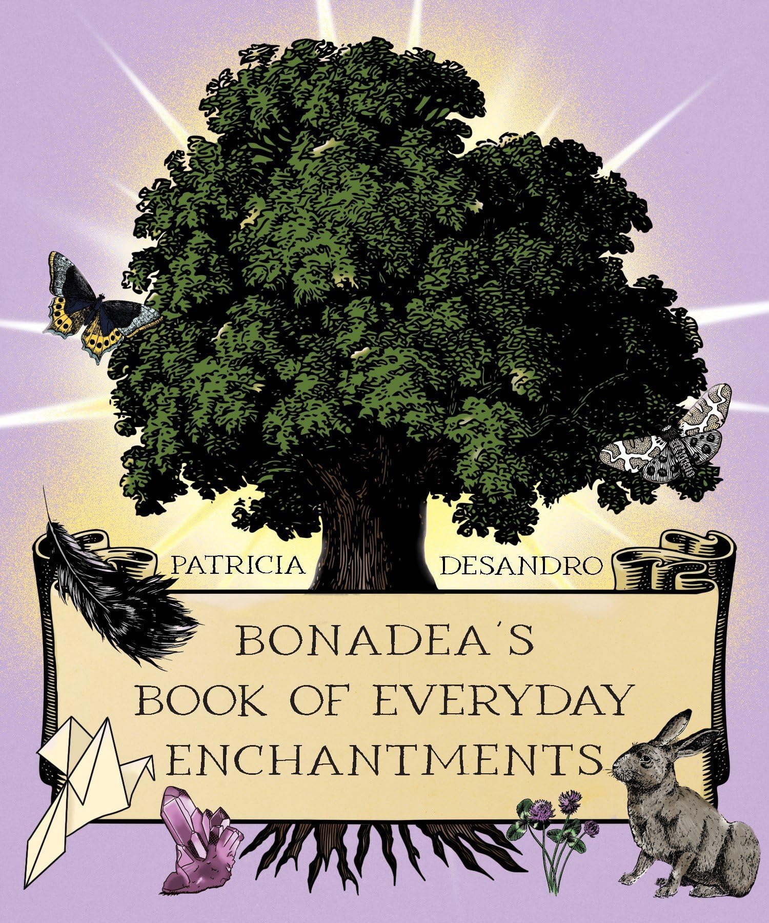 BonaDeas Book of Everyday Enchantments by Patricia deSandro PAPERBACK