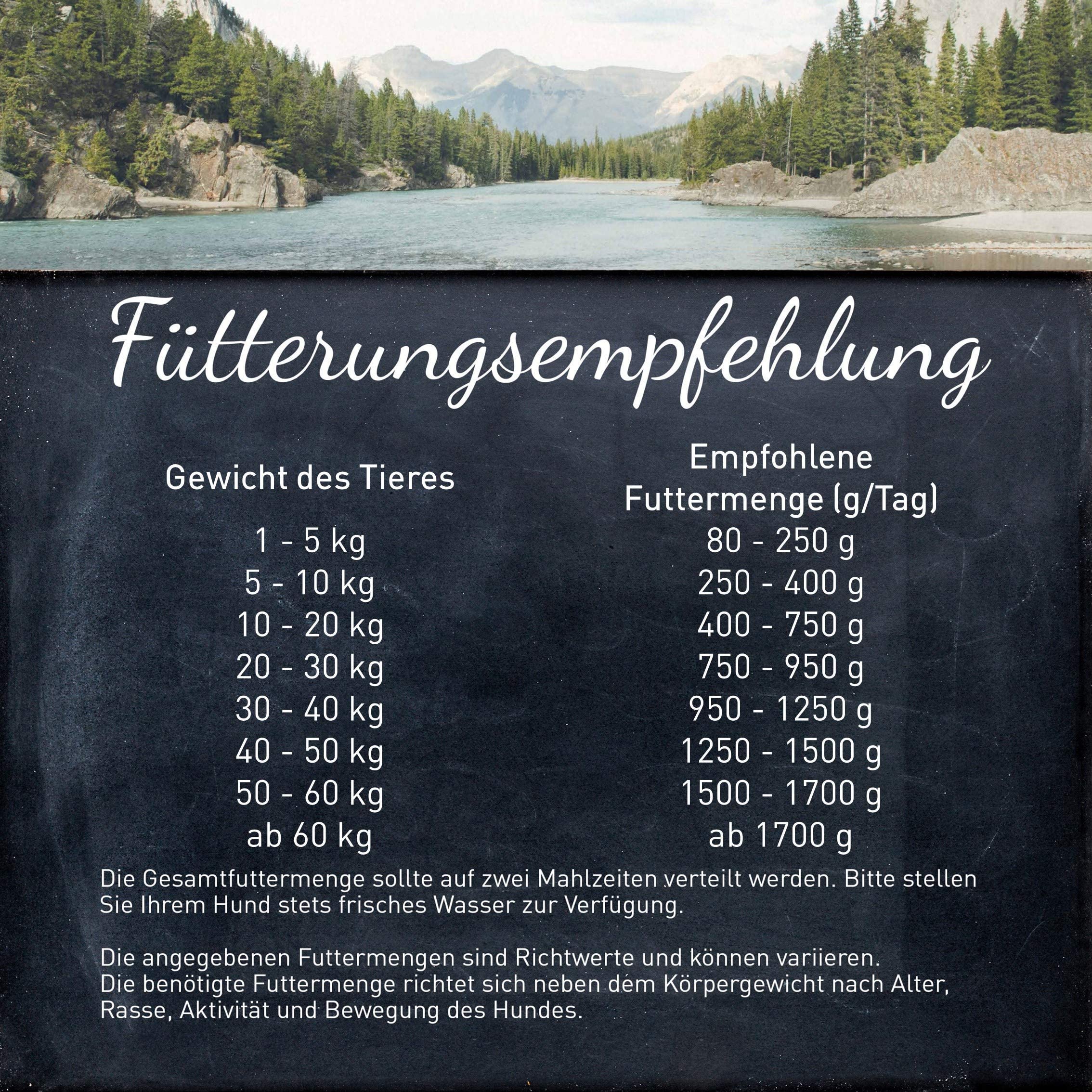 WILDES LAND – Ente | Nassfutter mit extra hohem Fleischanteil und natürlichen Zutaten für ausgewachsene Hunde. Getreidefreies Alleinfutter ohne Zusatzstoffe in der Dose | 24x800g Ente