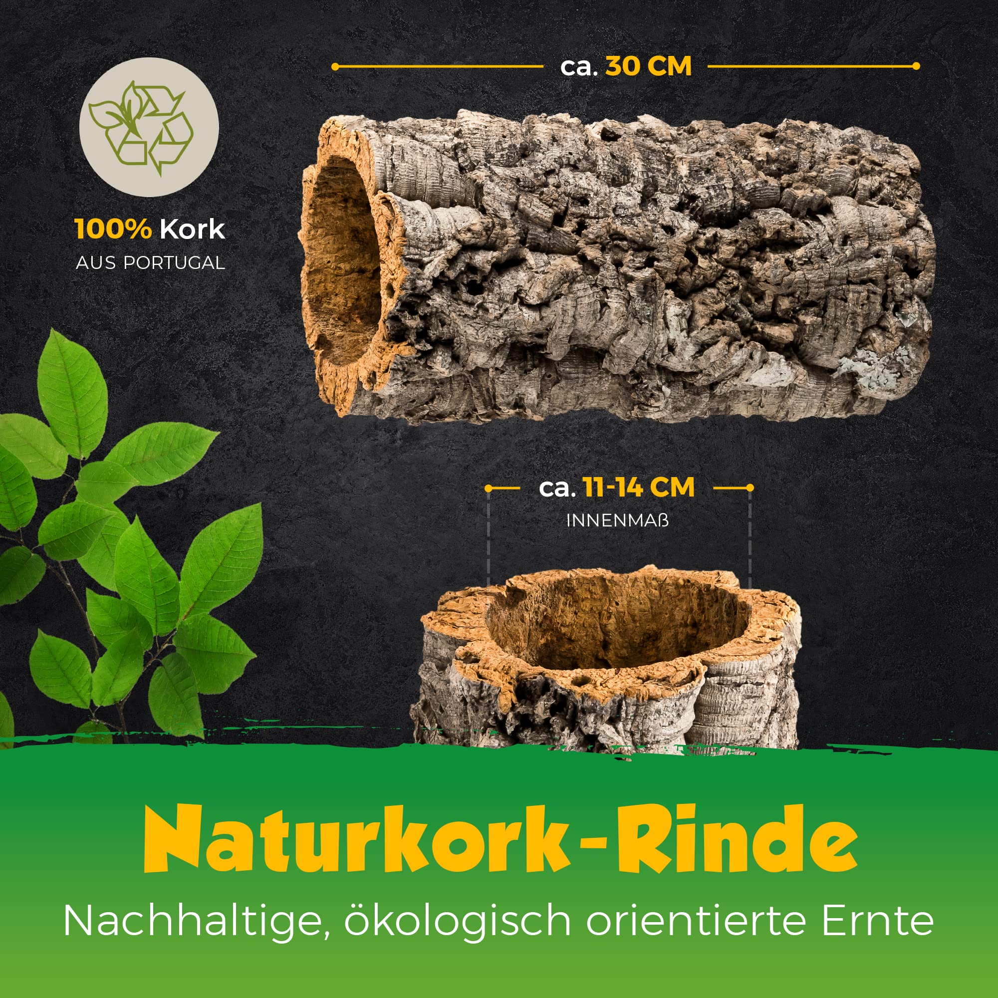 Kork-Deko Corteccia di Sughero: Tubi Sughero, 30 cm, Altezza Interna 11-14 cm Circa