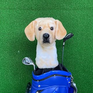 Dog Head Golf Driver Club Headcover, Neutral Decor for Golf Spaces