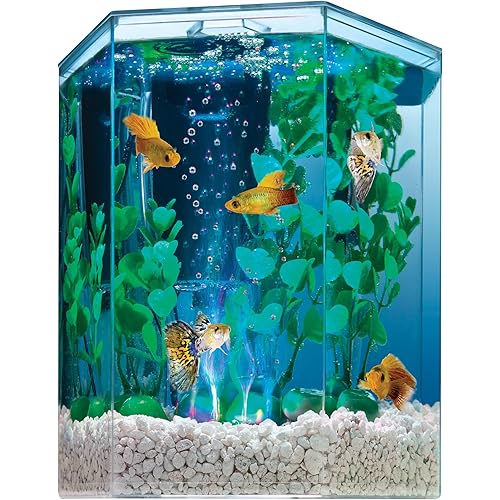 Tetra Bubbling LED Aquarium Kit 1 Gallon, Hexagon Shape, With Color-Changing Light Disc