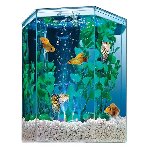 Tetra Bubbling LED Aquarium Kit 1 Gallon, Hexagon Shape, With Color-Changing Light Disc