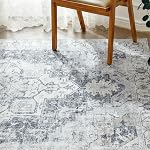 JINCHAN Tapis de porte Rug 2x3 Rug lavable Intérieur Rug Gris Multi Imprimer Retro Tapis Détresse Chenille Mat Accent Rug Salle de bain légère Cuisine Salon Chambre à coucher