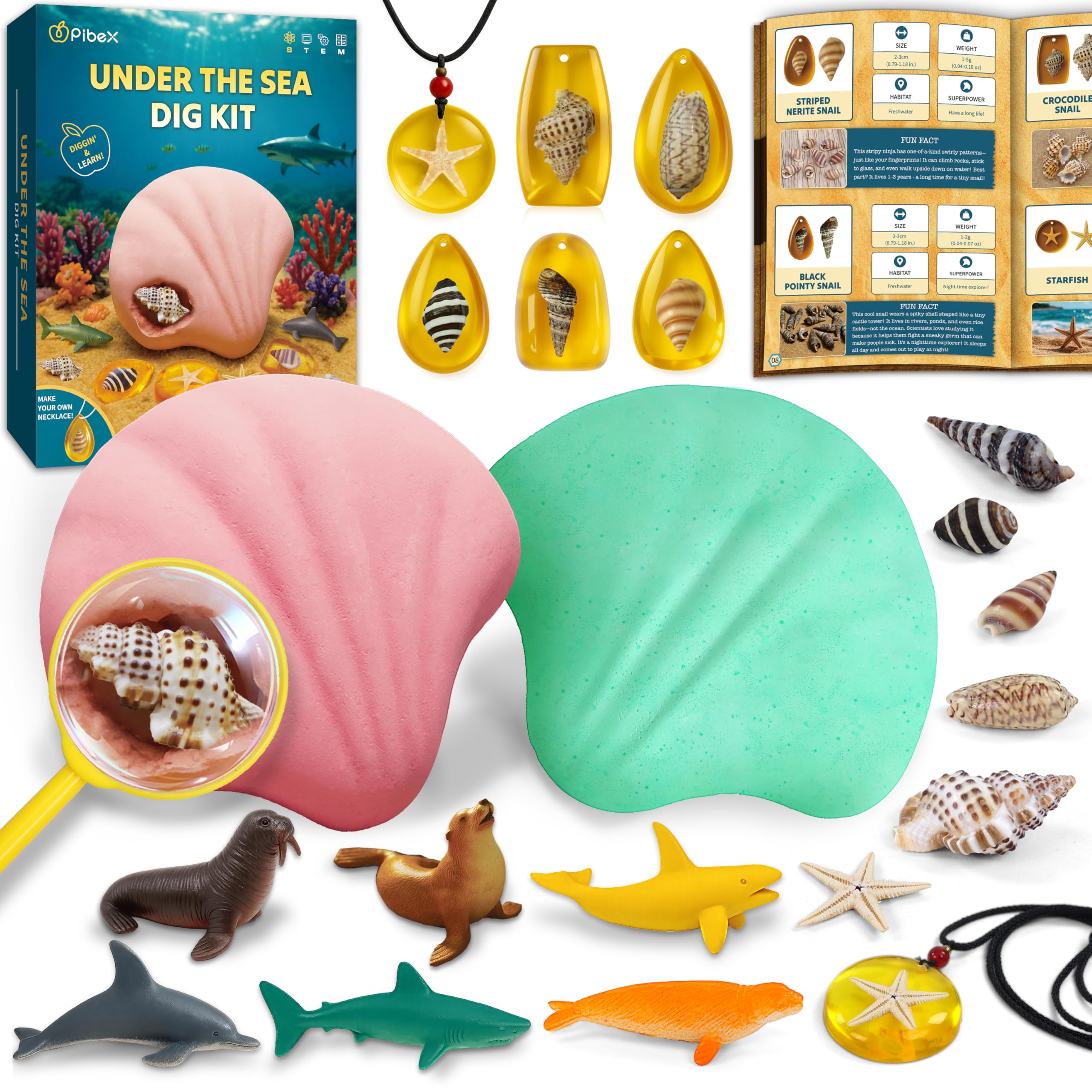 Amazon.com: PIBEX Under-The-Sea Dig Kit – Dig & Discover 18 Real
