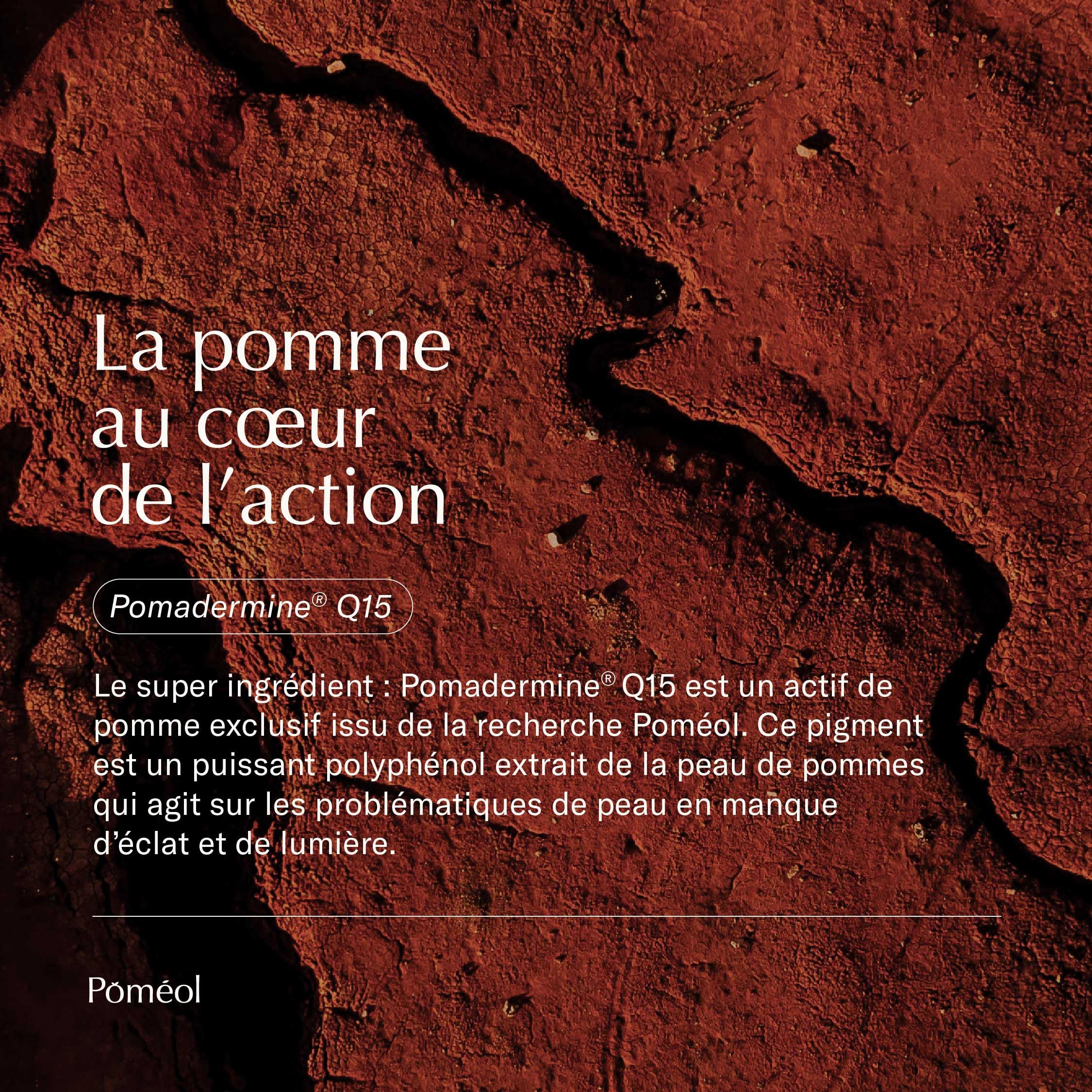 Autobronzant - Complément alimentaire ǀ Teint Hâlé Naturel & Doré sans Soleil ǀGélules ǀ 2x30 jours ǀ 4 pigments, beta carotene, Vitamines C & A, Cuivre ǀ POMÉOL