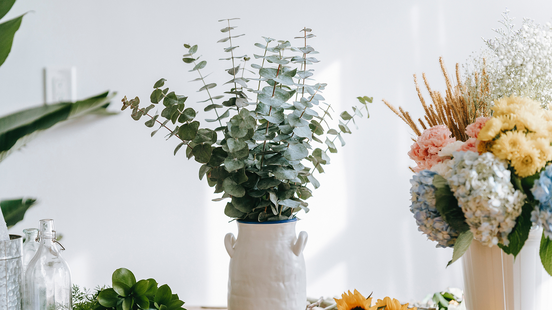 Amazon.com: 10 Pcs Dried Eucalyptus Stems 17" Real Eucalyptus for ...