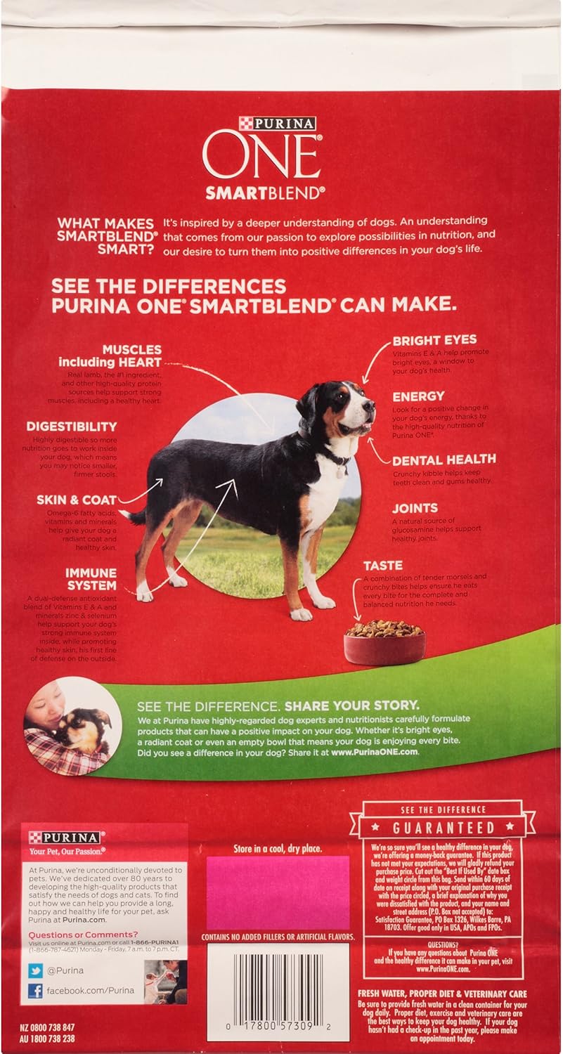 Purina ONE SmartBlend Natural Lamb & Rice Formula Adult Dry Dog Food, 4 LB
