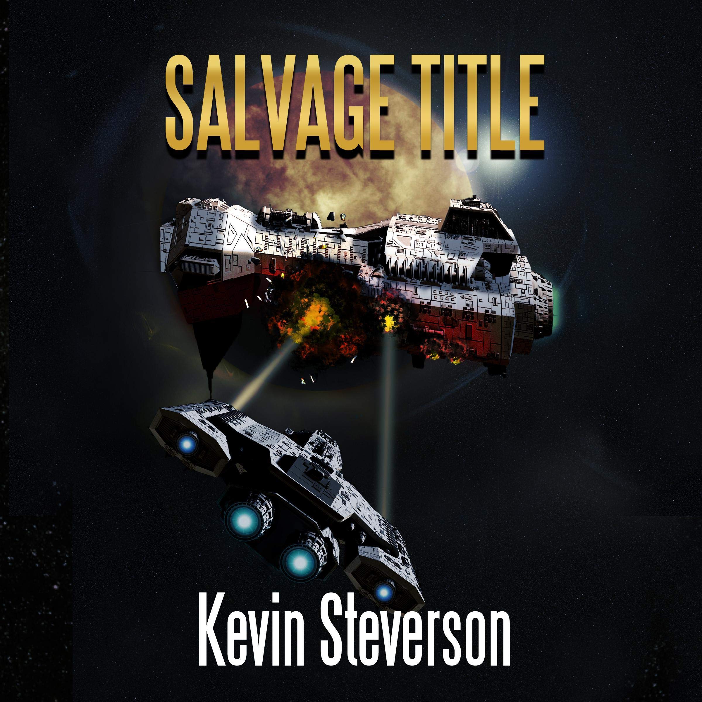 Cover art for Salvage Title