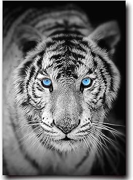 Amazon 大迫力の トラ ポスター タイガー モノクロ 白黒 モダン アニマル アート おしゃれ インテリア イラスト ウォールペーパー 42 30センチ フレーム無し B002a3 アートフレーム ポスター オンライン通販 Amazon 大迫力の トラ ポスター タイガー モノクロ 白黒 モダン アニマル アート おしゃれ インテリア イラスト ウォールペーパー 42 30センチ フレーム無し B002a3 アートフレーム ポスター オンライン通販