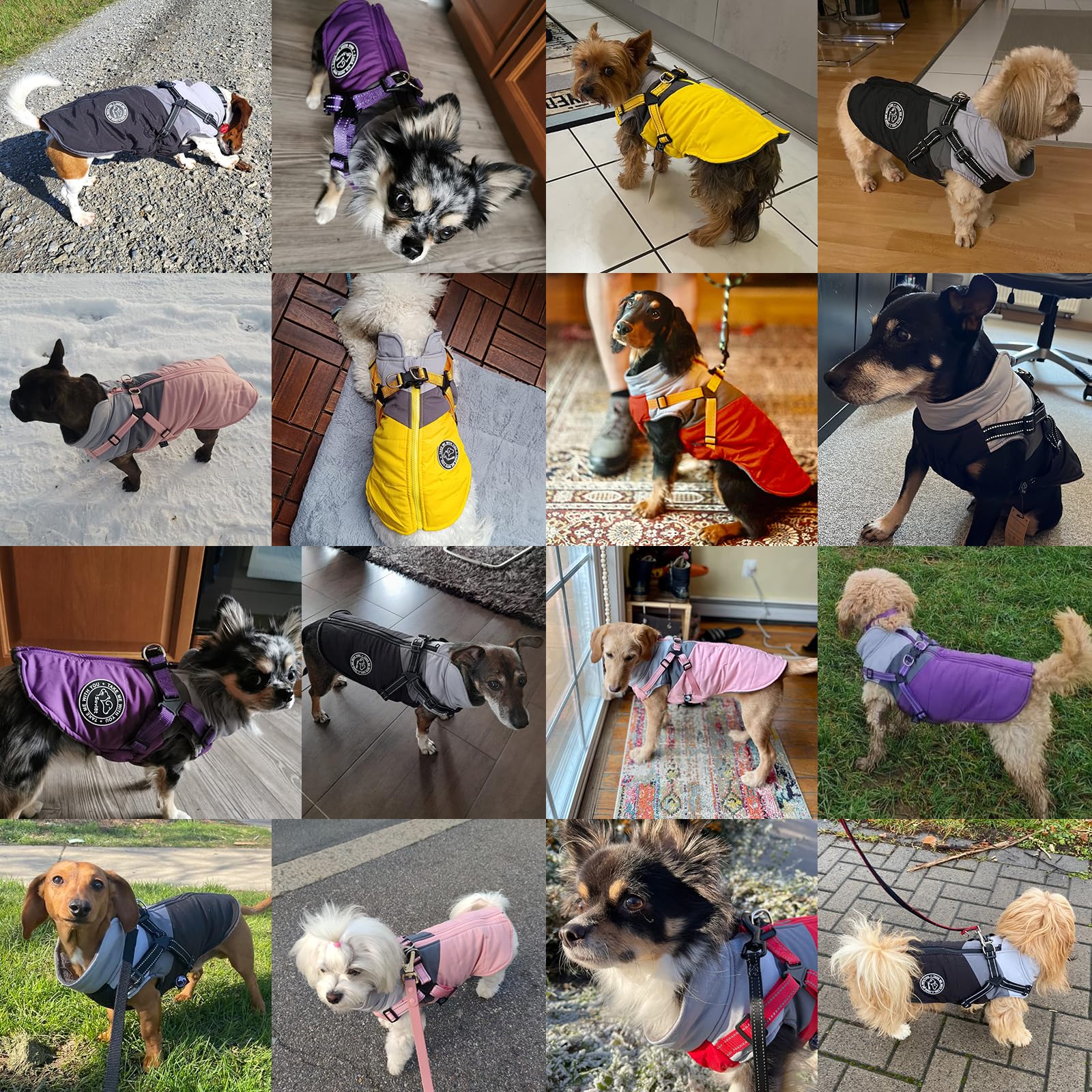 Savlot Wasserdichter Hundemantel Winter Warme Jacke mit Geschirr Reflektierend für Chihuahua Dackel Kleine Hunde Hundepullover