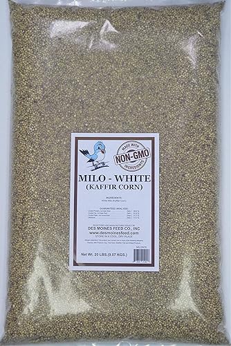 Des Moines Wild Bird Feed Milo Blanco (Maíz Kaffir) 20 lbs