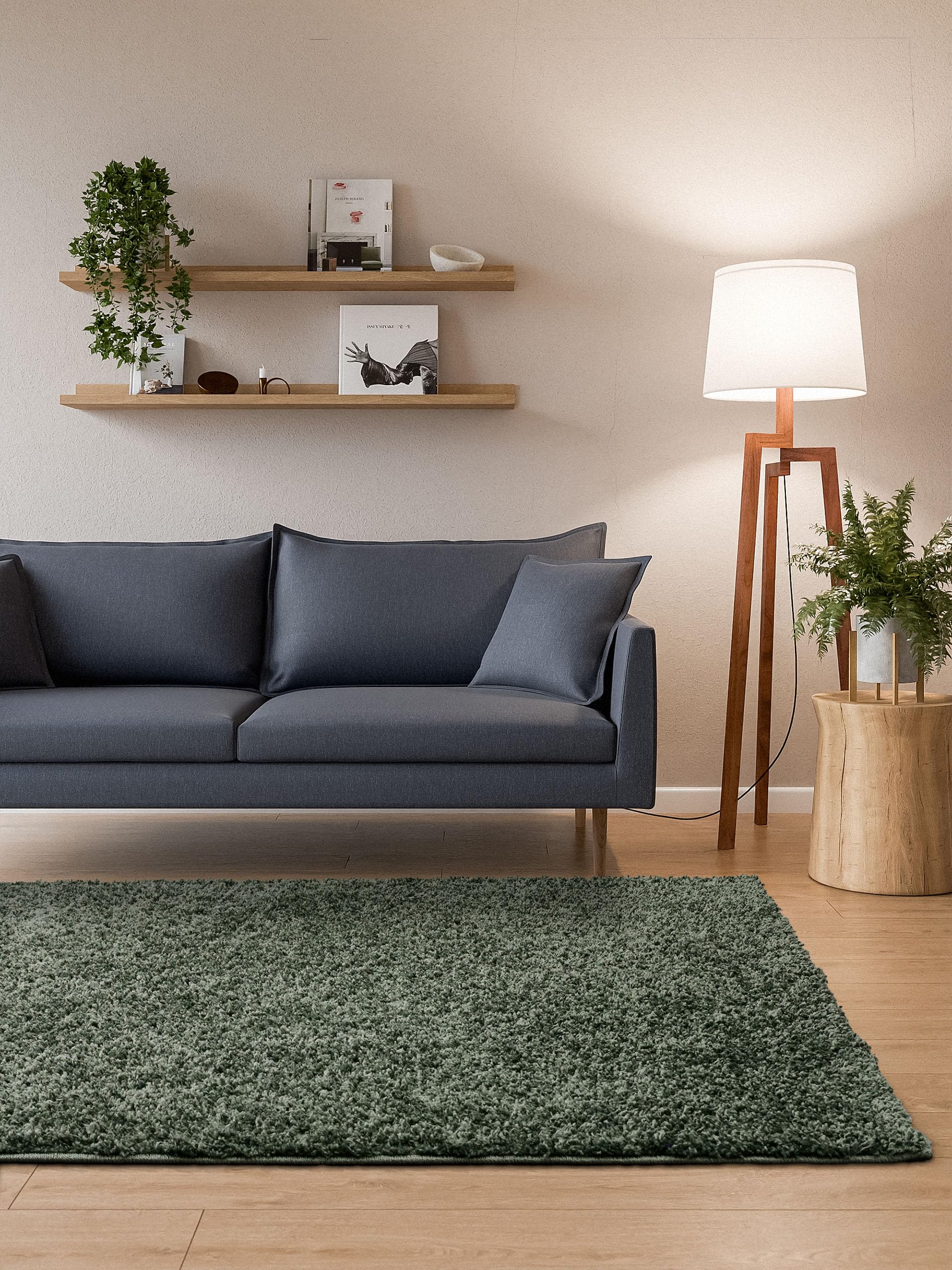 Interiyou Sofia - Alfombra de pelo largo, 160 x 230 cm, color verde claro, mullida y monocolor, lavable y antideslizante, pelo largo suave