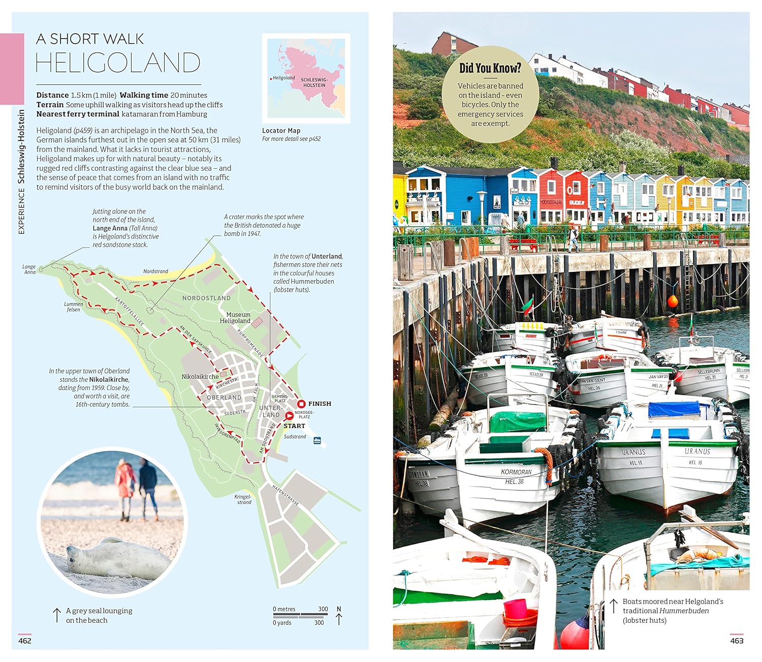 DK Germany (Travel Guide) - Image 13