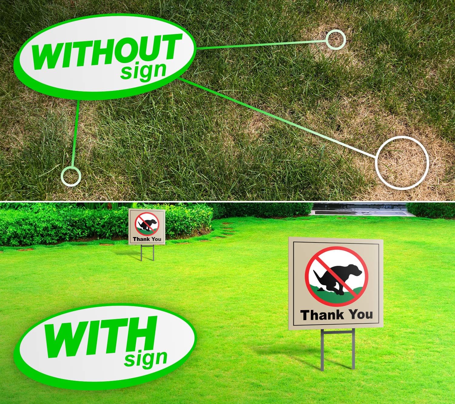 Oakley Graphics 2 Signs, No Pooping, Dog Poop Yard Sign, Thank You Large (8"x8" - 2-Sided)